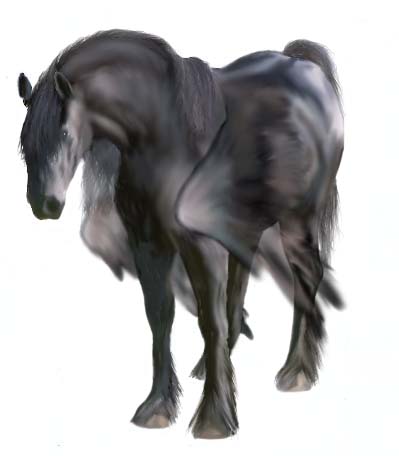 Pégase Gris